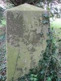 image of grave number 557578